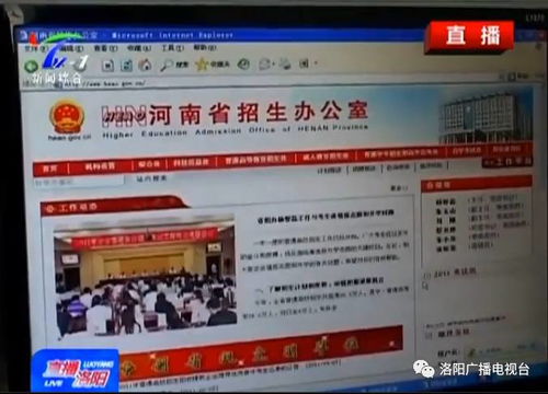 如果您的兒子準備填報志愿了,請看過來 解讀志愿系統，助力未來航向