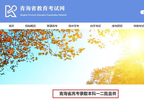 2020年青海省高考志愿填報(bào)系統(tǒng)密碼重置及查詢申請(qǐng)表操作指南